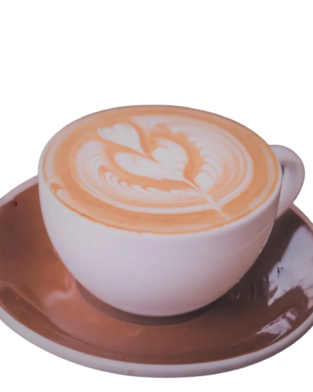 Spanish Latte-New